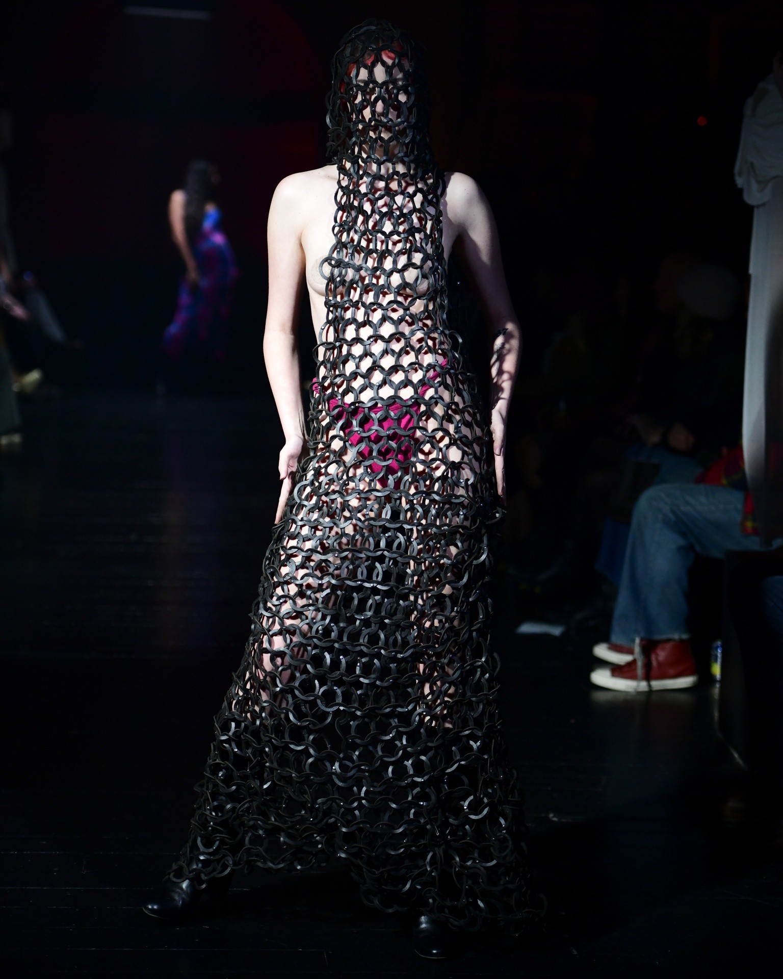 Mesh Dress garment photo